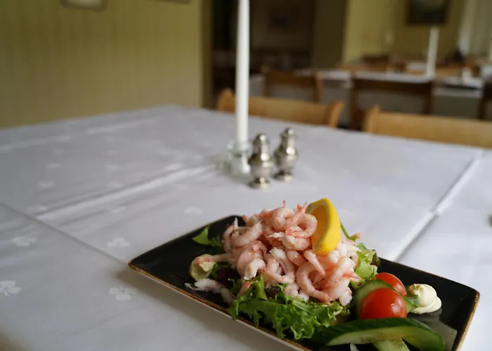 Hotel Kongsvold Fjeldstue By Frich's *